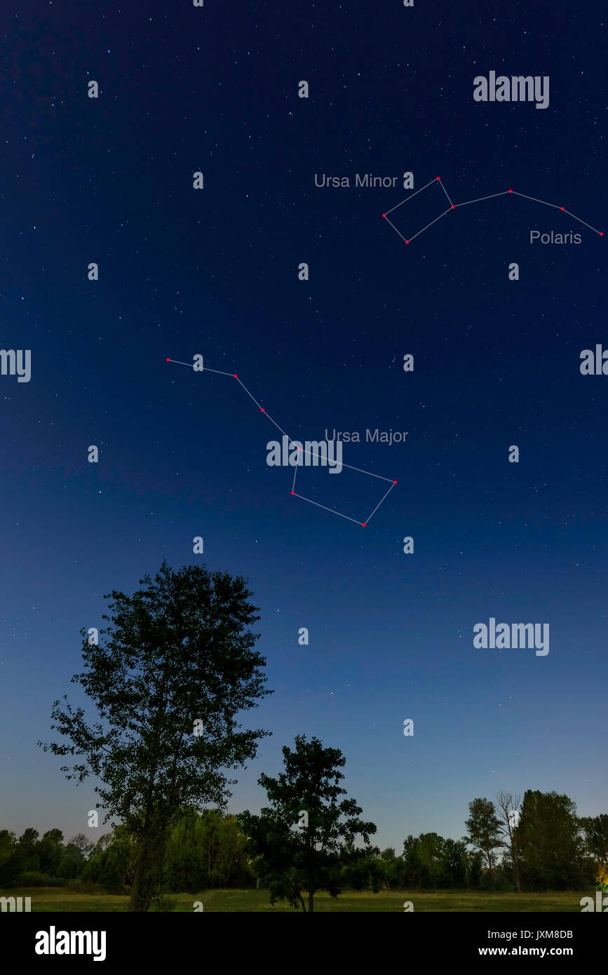 Die Ursa Major Konstellation Auch Als Grosser Bar Oder Grosse