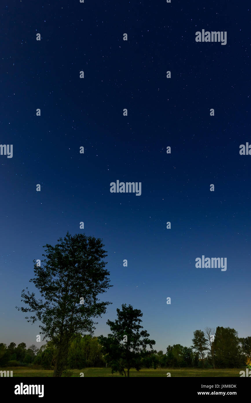 Die Ursa Major Konstellation Auch Als Grosser Bar Oder Grosse
