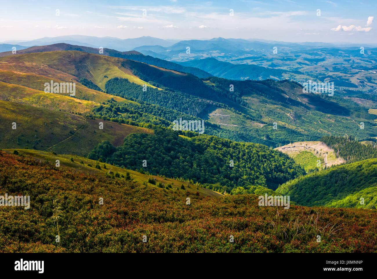 Grasbewachsenen Bergkuppen mit Wälder auf Pisten. Herrliche Aussicht auf das Tal der Karpaten in Abend Stockfoto