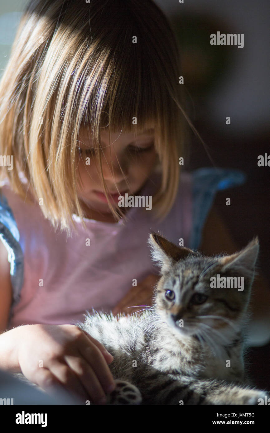 Mädchen, dass Kätzchen Stockfoto