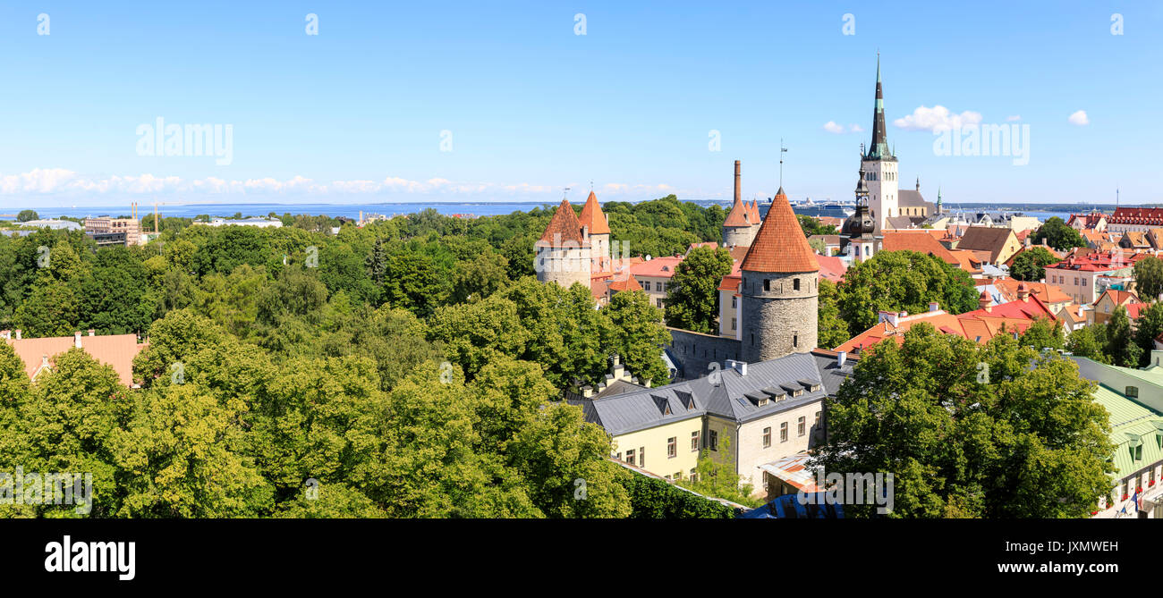 Sommer Stadt Panorama auf die Altstadt von Tallinn, der Hauptstadt Estlands Stockfoto