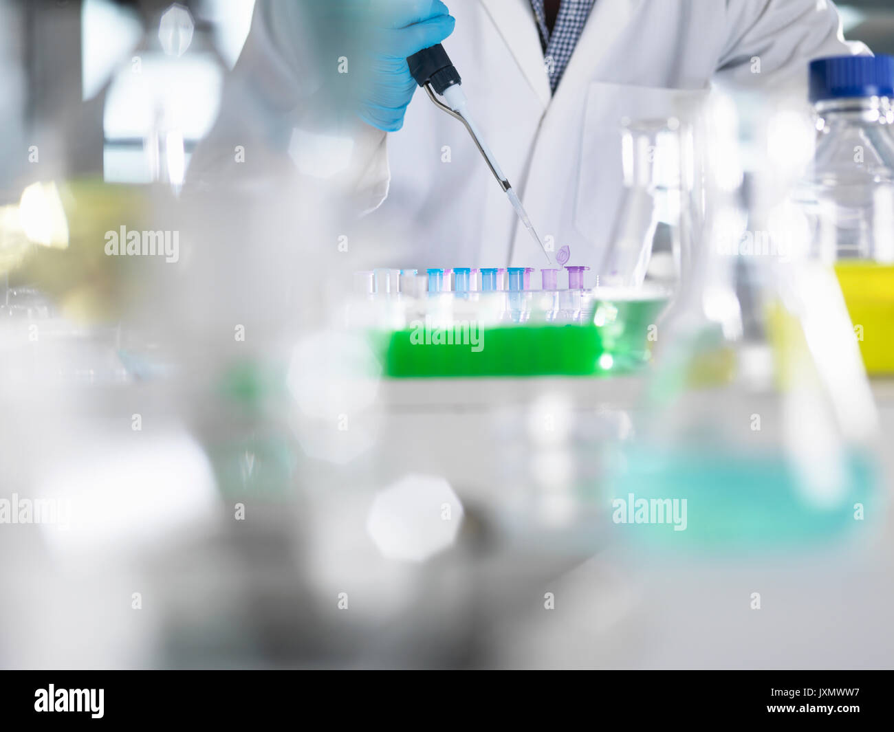 Wissenschaftler in Eppendorf-röhrchen Pipettieren der Proben für die Prüfung bei einem Experiment im Labor Stockfoto