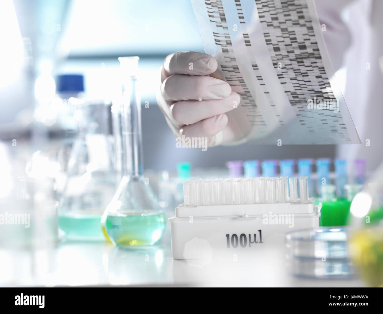 Wissenschaftler das Anzeigen einer DNA Gel bei einem Experiment im Labor Stockfoto