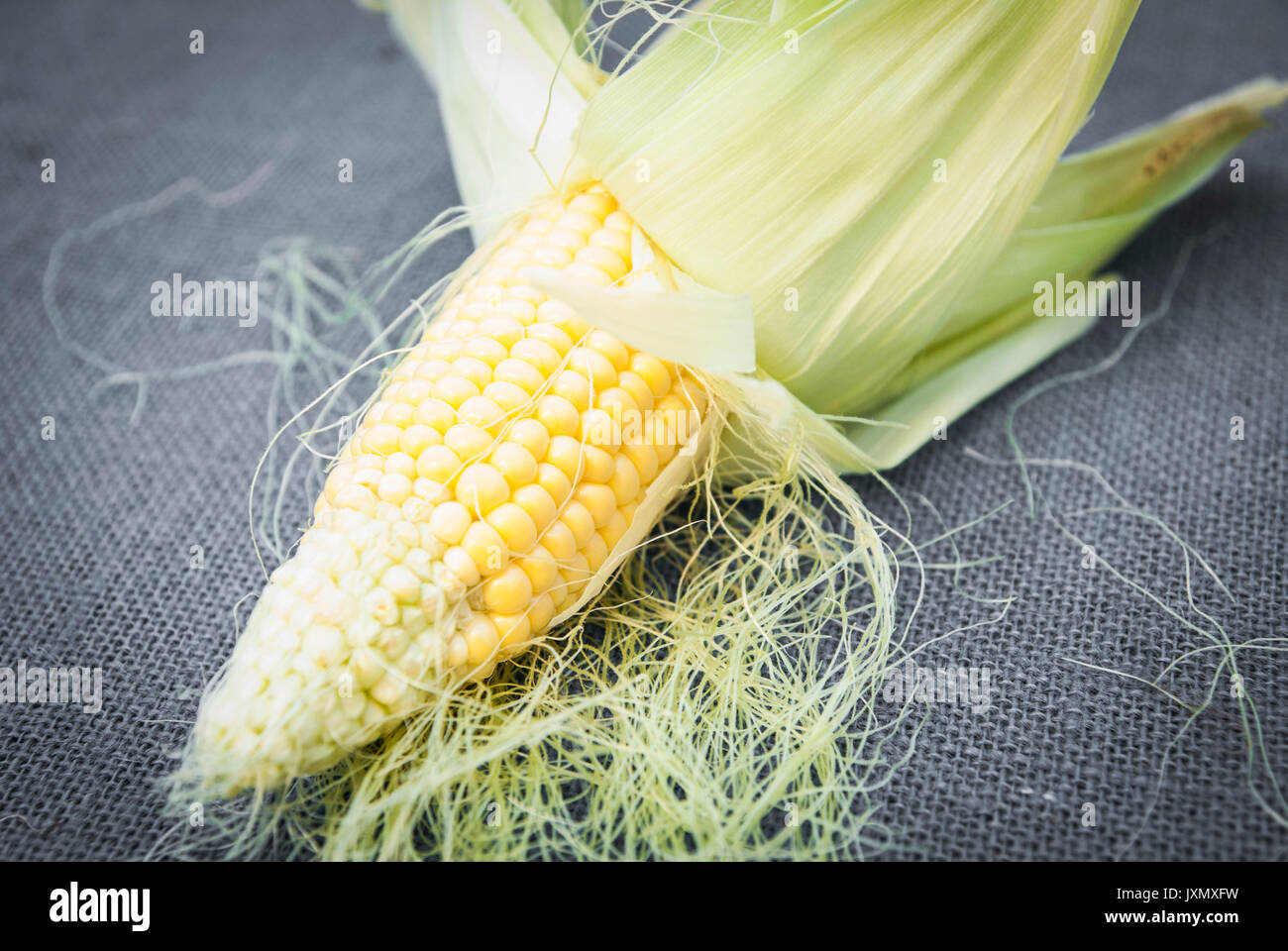Maiskolben, close-up Stockfoto