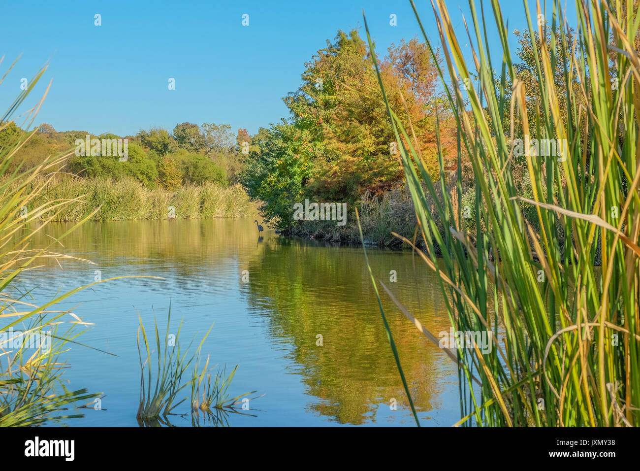 Der kleine See in Blount Cultural Park, Montgomery, Alabama, USA, bei den frühen Beginn der Herbst (Herbst) Saison. Stockfoto