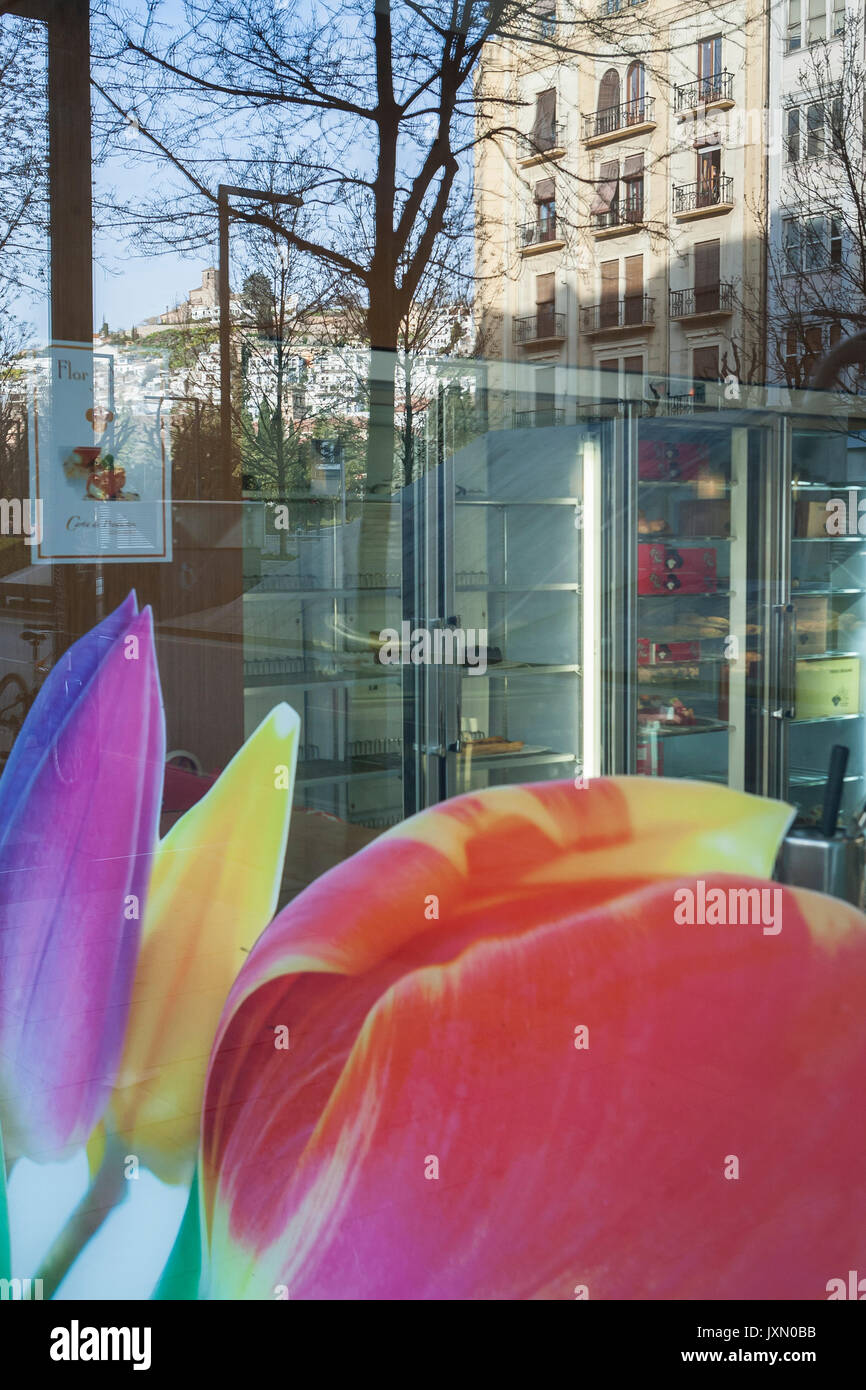 Reflektion von einem Gebäude in ein Schaufenster in Constitucion Straße, Granada, Andalusien, Spanien Stockfoto