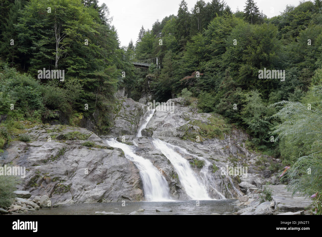 Die loana torrent Wasserfall auf Felsen von Kiefern, Tannen und andere grüne Bäume in Malesco, Vigezzotal, Italien umgeben Stockfoto