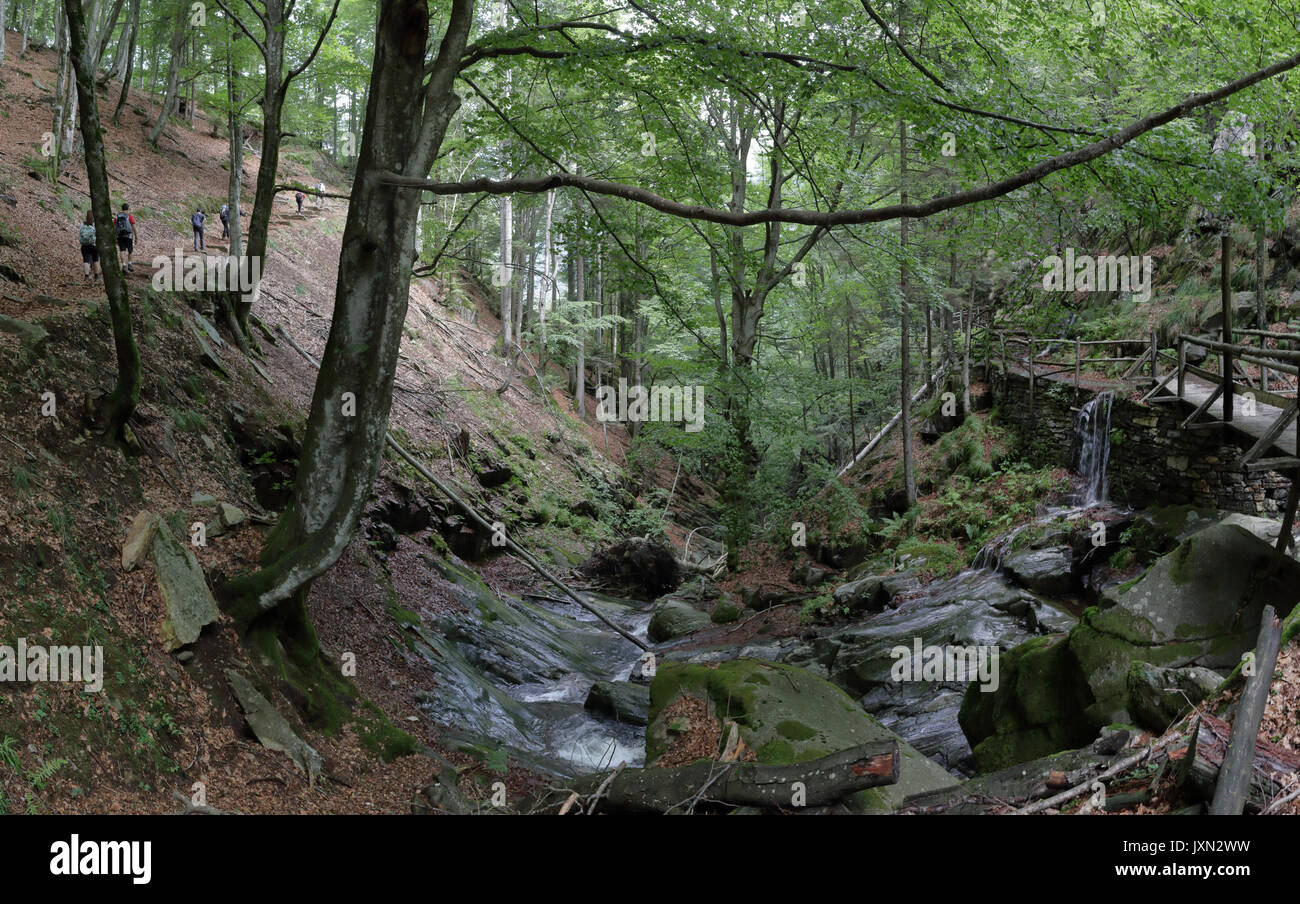 Ein Panoramablick auf die Landschaft einer Vigezzo Tal weg, mit einer hölzernen Brücke auf einem Creek Wasserfall auf Felsen, in Kiefern, Tannen und breitblättrige Wald in den Alpen Stockfoto