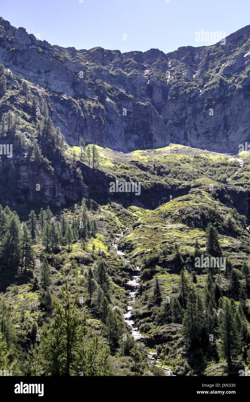 Eine Landschaft von grünen Bergen mit Kiefern und Tannen, Felsen und Gletscher, im Vigezzo Tal, Nördliche Alpen Stockfoto