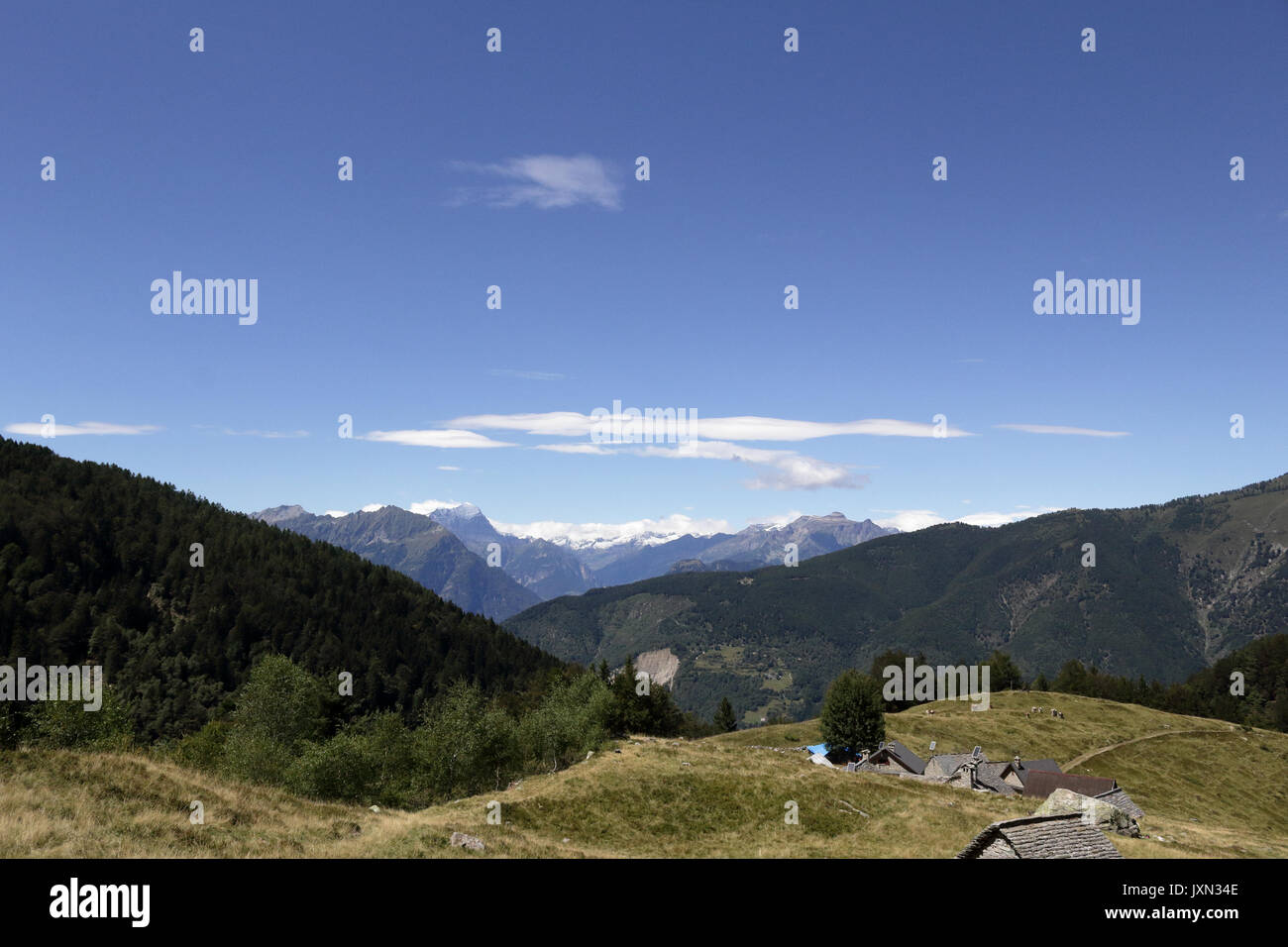 Eine Landschaft von grünen Bergen mit Kiefern und Tannen, Felsen und Gletscher, im Vigezzo Tal, Nördliche Alpen Stockfoto