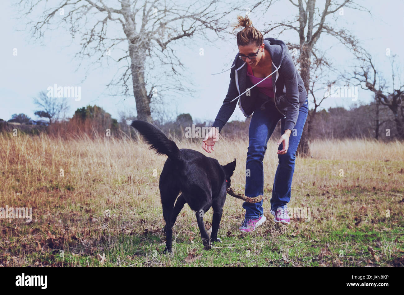 Frau spielen Fetch mit Hund in Weide, authentische aktive Familie Lebensstil mit dem Tier. Stockfoto