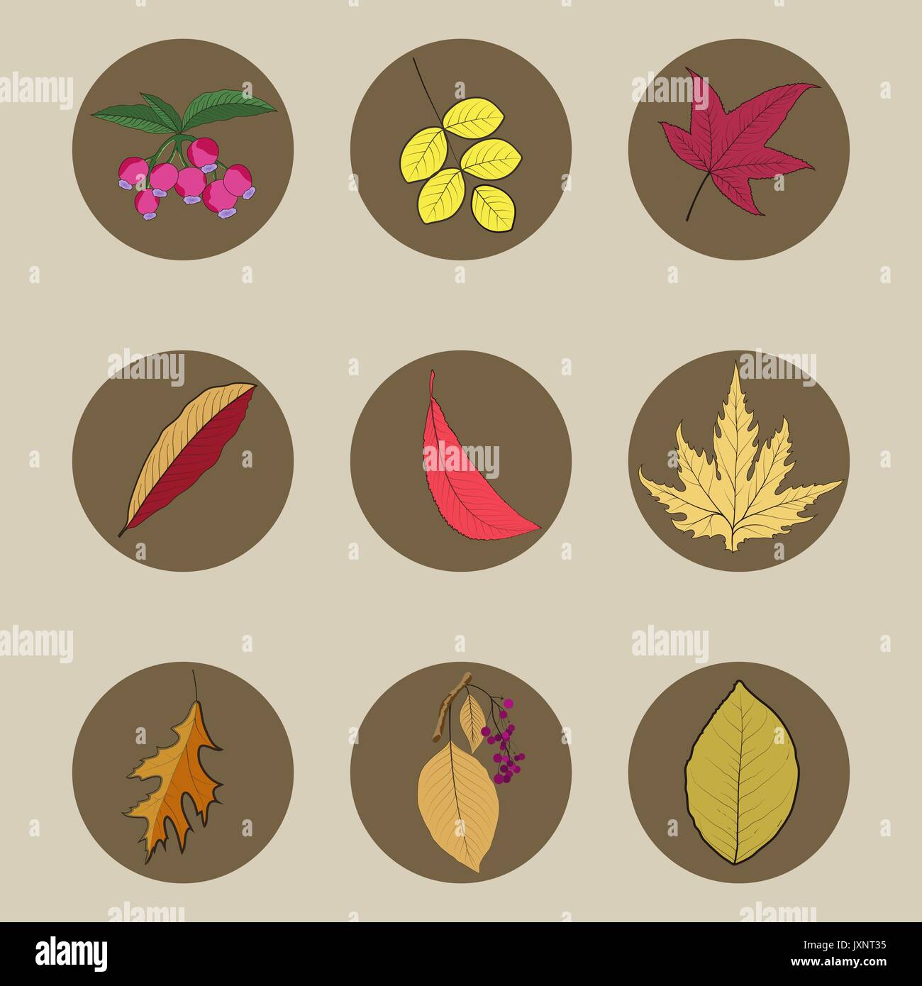 Vector Hintergrund mit Rot, Orange, Braun und Gelb fallende Blätter im Herbst. Stock Vektor