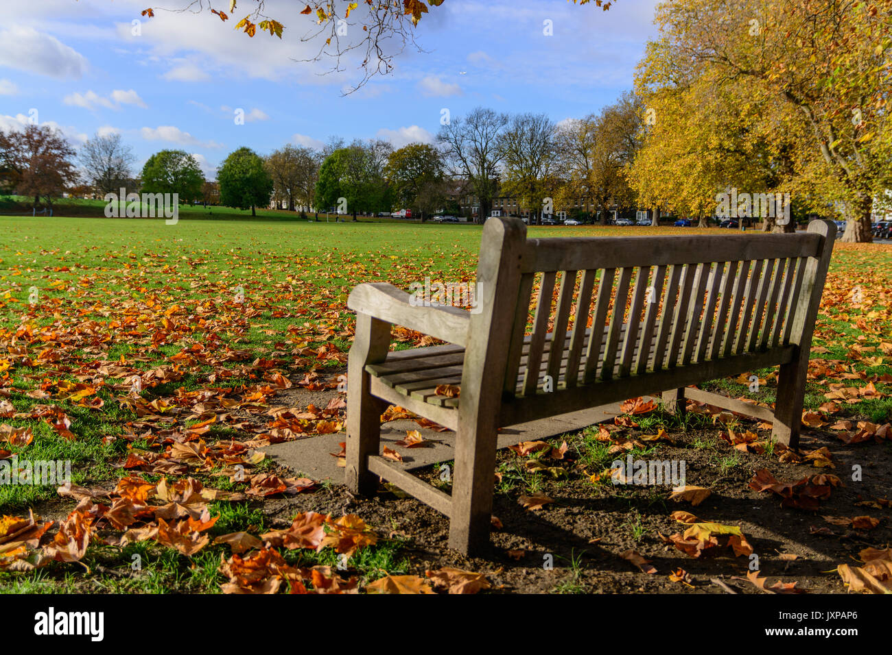 Leere Holzbank in hügeligen Feldern in Brockley (London) im Herbst mit Laub. Querformat. Stockfoto