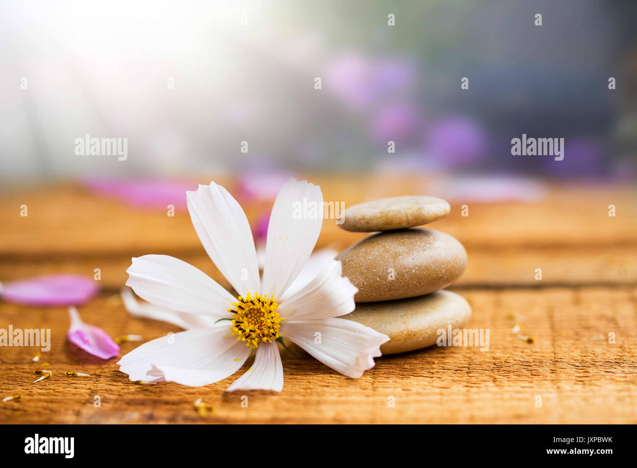 Spa Stilleben Komposition mit Massage Steine und weiße Blume Stockfoto