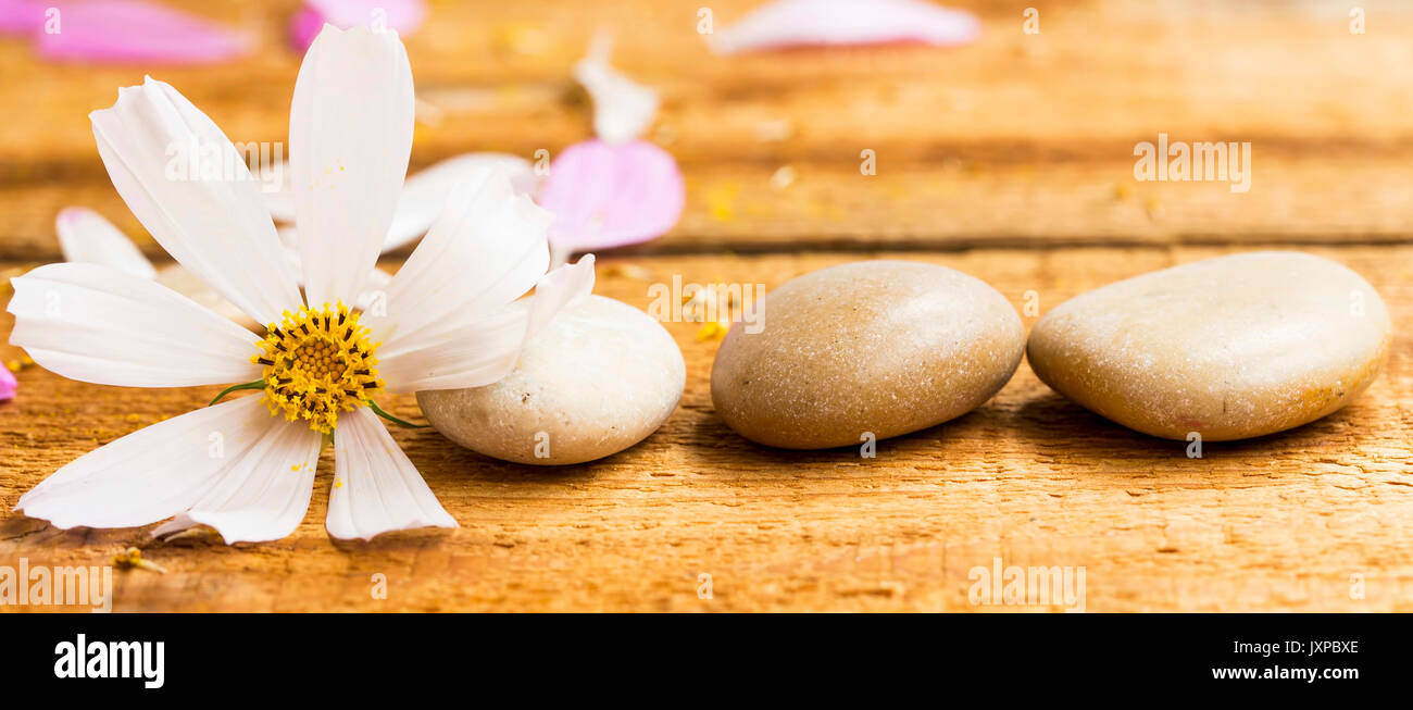 Spa Stilleben Komposition mit Massage Steine und weiße Blume auf Holzbrett Stockfoto