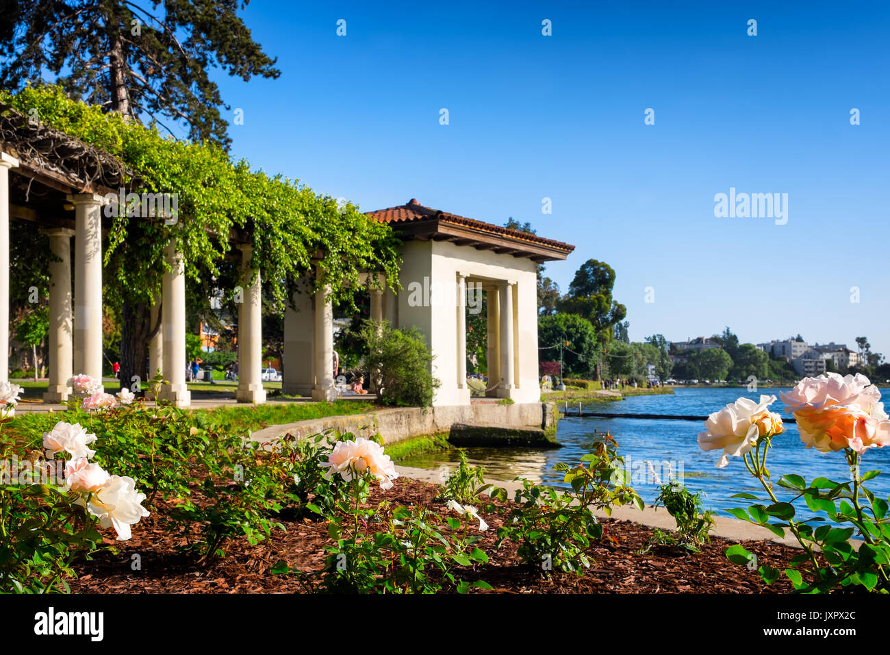 Oakland, Kalifornien, Lake Merritt, Rose arbor Pergola Stockfoto