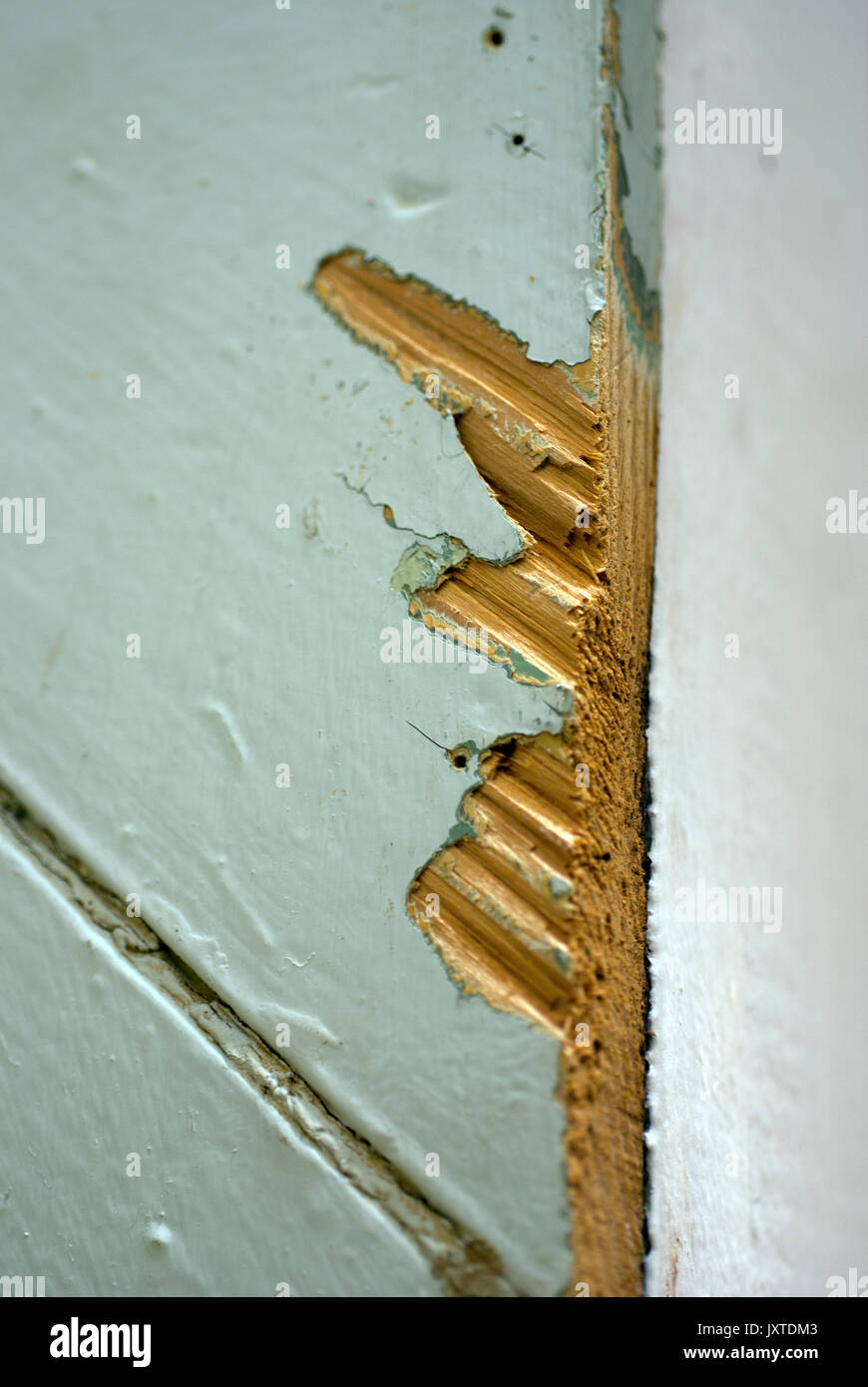 Lack Abgeplatzt aus der Kante einer Diagonale Wand Board Stockfoto
