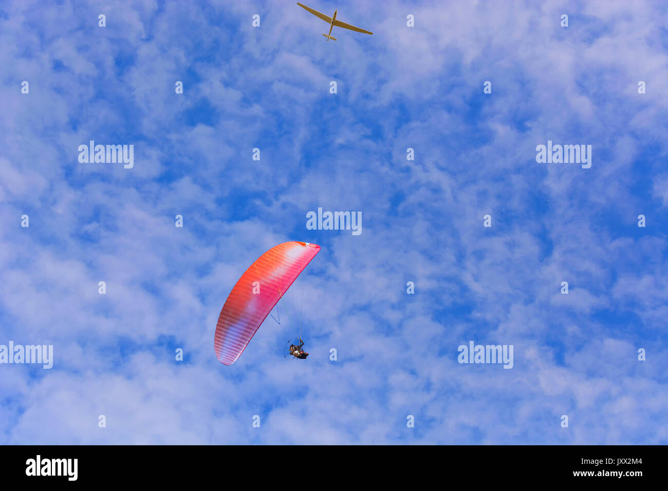 Motorschirm Flieger und motorloses Fliegen mit einem Gleitschirm gegen den blauen Himmel. Stockfoto