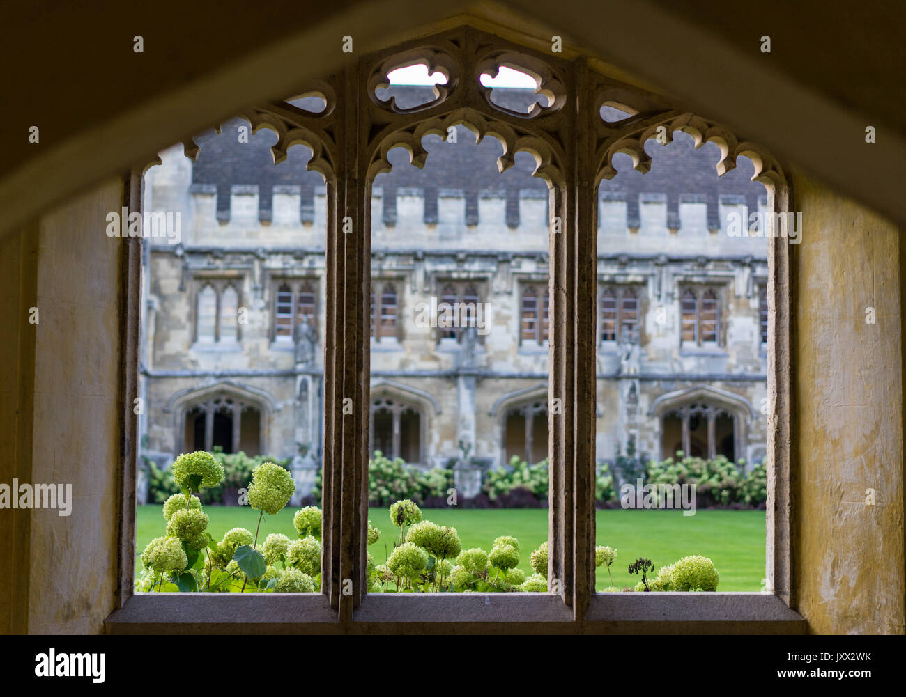 Oxfordshire, Oxford, UK, England, Radcliffe, Bibliothek Stockfoto