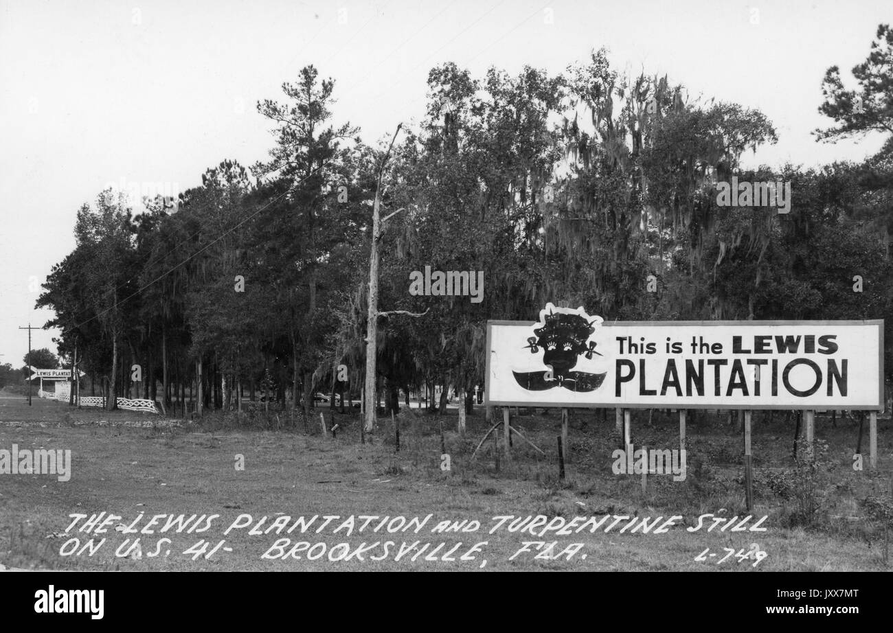 Landschaft der Lewis Plantation in Brooksville mit einem großen Schild, das "This is the Lewis Plantation" liest und ein grobes Bild eines afroamerikanischen Mädchens hat, ein kleiner Wald an einer Feldstraße, 1920. Stockfoto