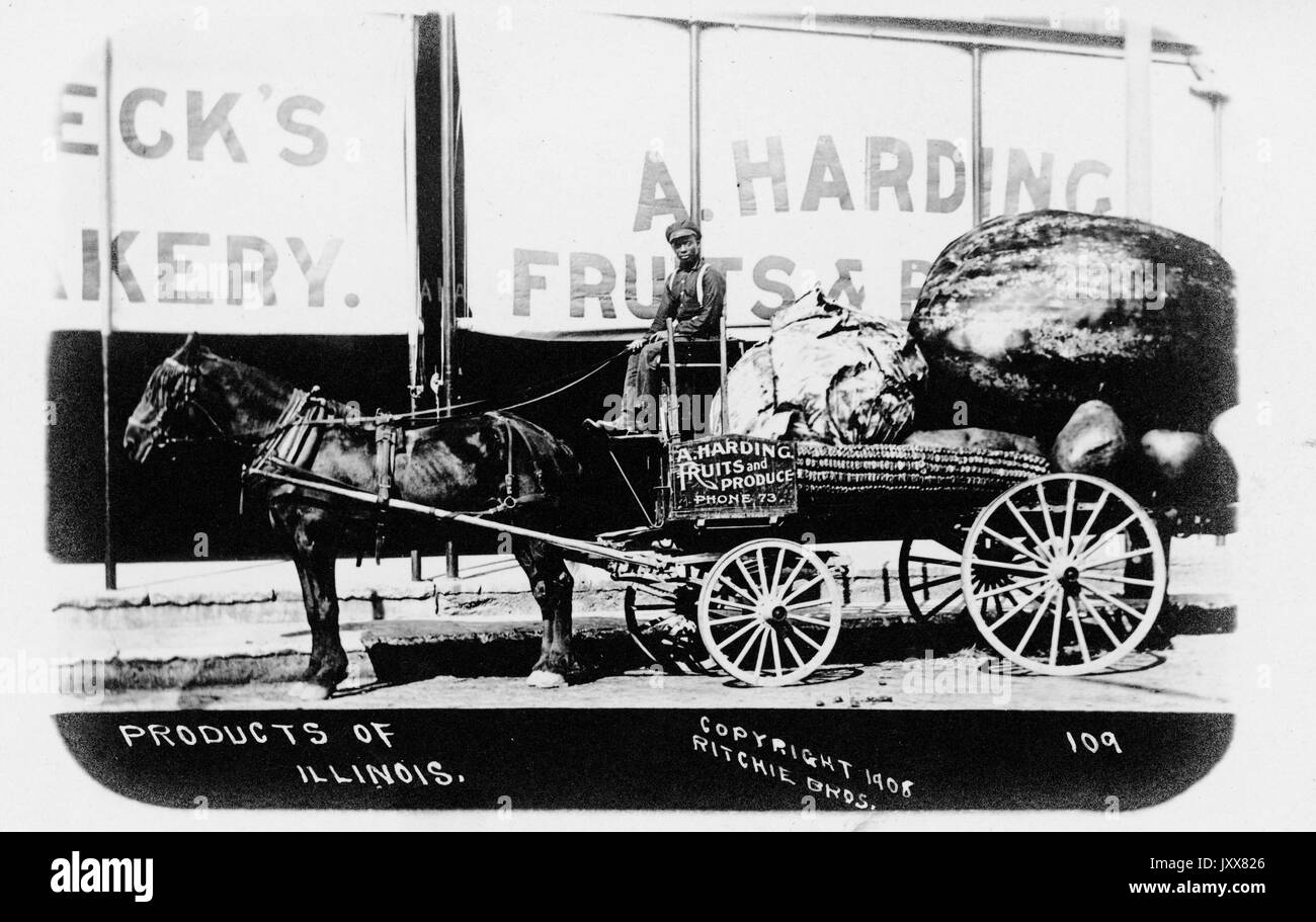 Ein junger afrikanischer Mann treibt ein Pferd - offene Wagen voll mit übergroßen Lebensmittel mit der Kennzeichnung "EIN Harding Früchte und Produzieren" auf einer Straße, die möglicherweise in Centralia, Illinois, in der vor einem Schaufenster auch beschriftet "Harding Früchte und Produzieren", Illinois, 1915. Stockfoto