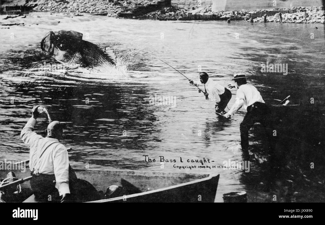 Zwei afroamerikanische Männer waten ins Wasser, versuchen, einen übergroßen Bass zu fangen, während ein dritter afroamerikanischer Mann auf einem Boot ist, hält einen Fisch, 1915. Stockfoto