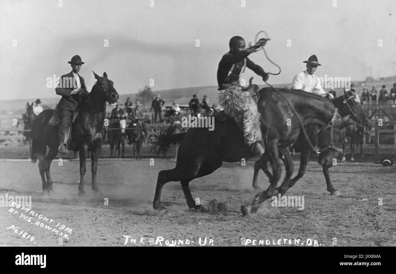 Cowboys reiten Pferde in einem Rodeo, mit Zuschauern und anderen Teilnehmern im Hintergrund, bei der ersten jährlichen Pendleton Runde, 1910. Stockfoto