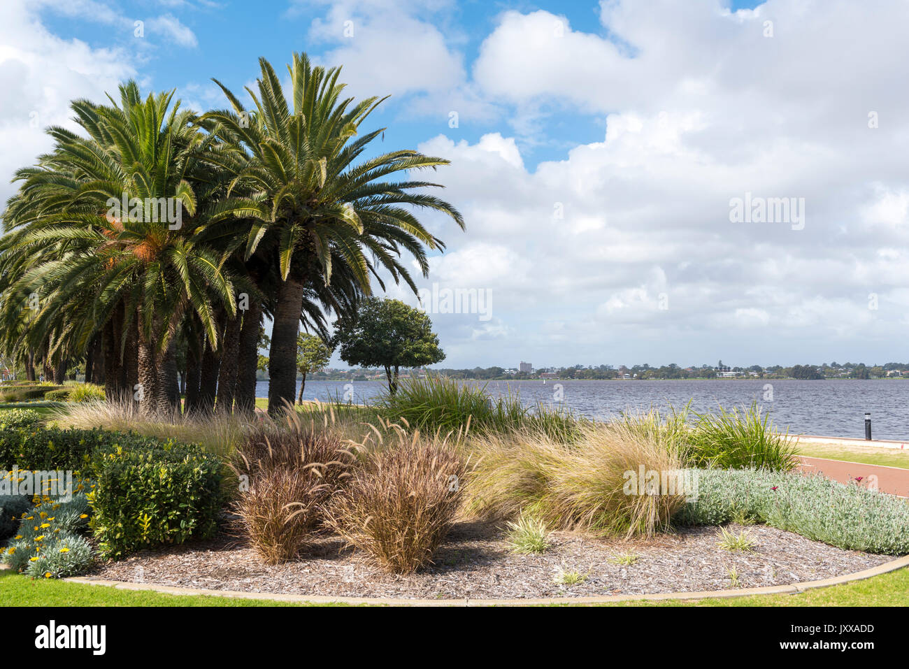 Ufer des Swan River in Perth, Western Australia Stockfoto