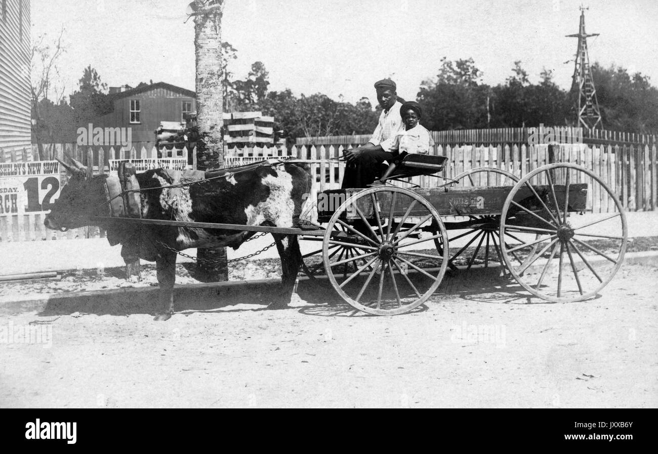 Ganzkörperportrait von afroamerikanischem Mann und Kind, das im Wagen sitzt, der von Kuh gefahren wird, helle Hemden, dunkle Hosen und dunkle Mützen trägt, entlang des Schmutzweges neben Zaun und Bürgersteig reitet, neutrale Ausdrücke, 1915. Stockfoto