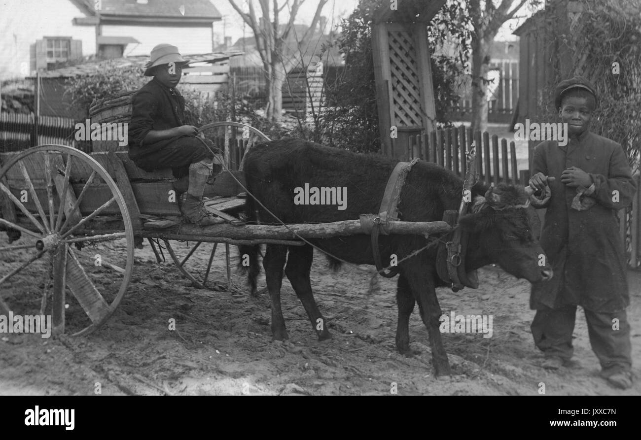 Ganzkörperportrait von zwei jungen afroamerikanischen Jungen, einer in einem Pferd und Buggy sitzend, ein anderer stehend; liest: 'Wahrscheinlich: Schleppen Mops schwarze Kinderarbeit', 1920. Stockfoto