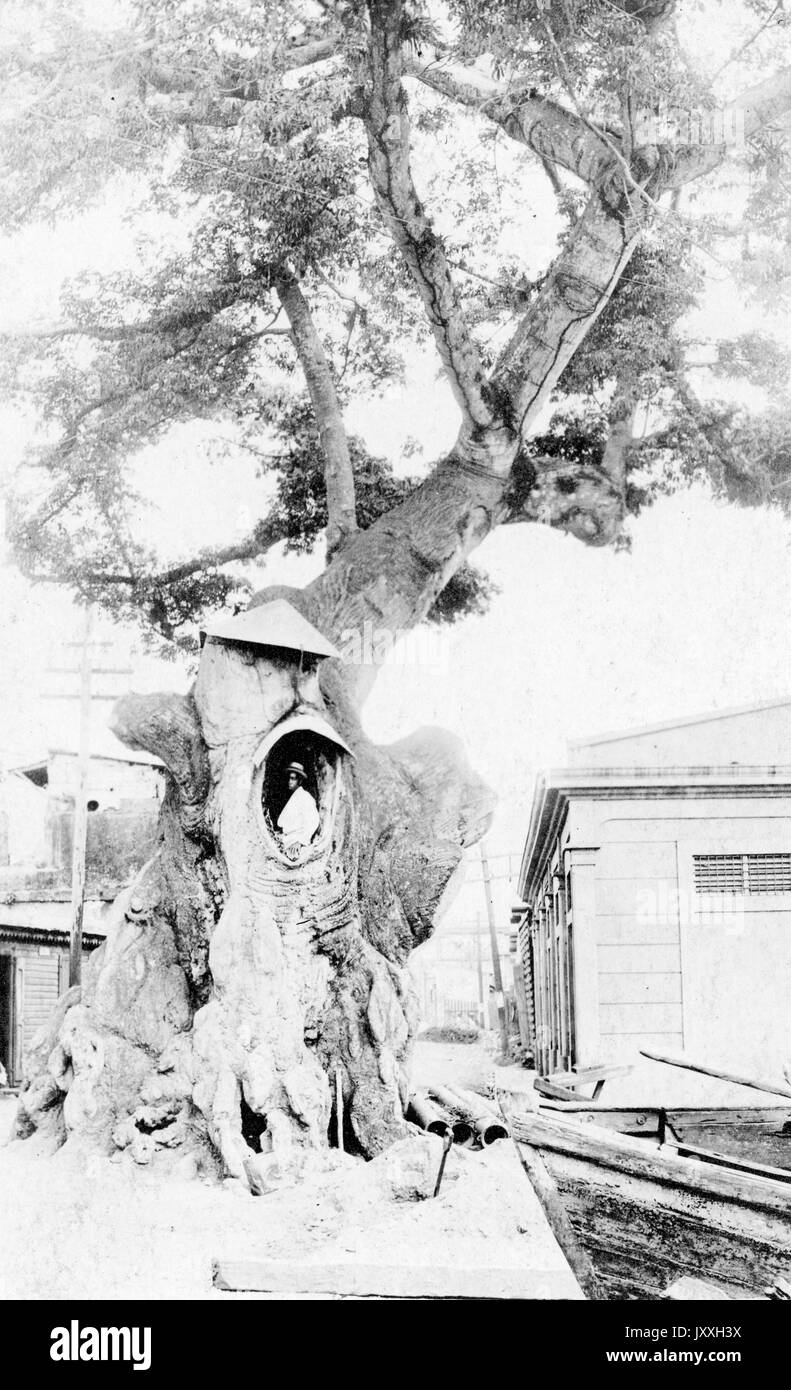 Mann mit hellen Anzug und Hut stehen in großer Baum, neben Haus, 1920. Stockfoto