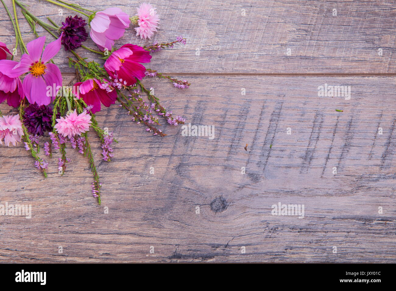 Ein Bouquet von rosa und lila Blumen cosmea oder Cosmos mit Band auf rustikalen hölzernen Brettern. Kopieren Sie Platz. Mutter, Valentines, Frauen, Hochzeit Konzept Stockfoto