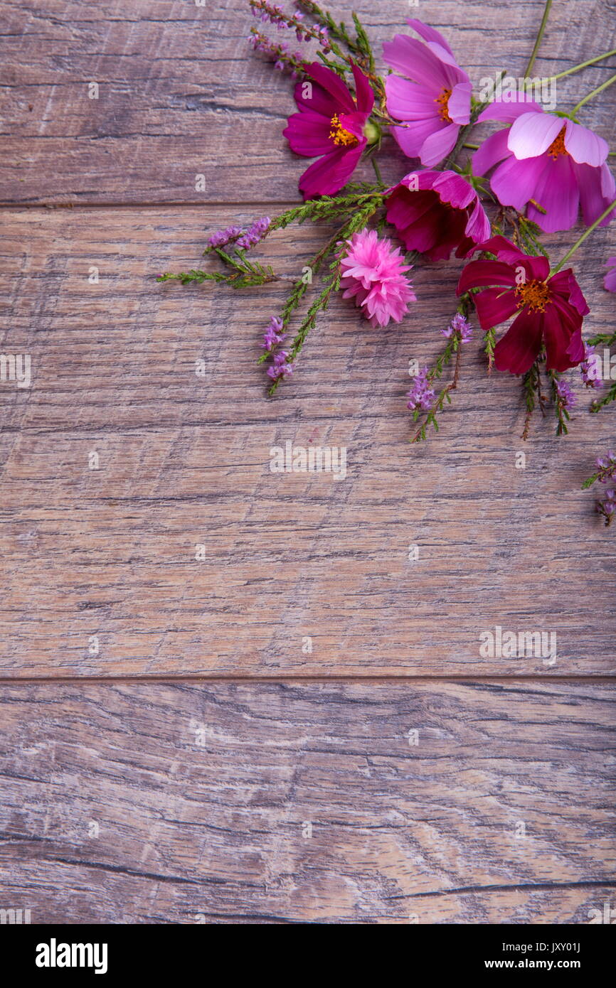 Ein Bouquet von rosa und lila Blumen cosmea oder Cosmos mit Band auf rustikalen hölzernen Brettern. Kopieren Sie Platz. Mutter, Valentines, Frauen, Hochzeit Konzept Stockfoto