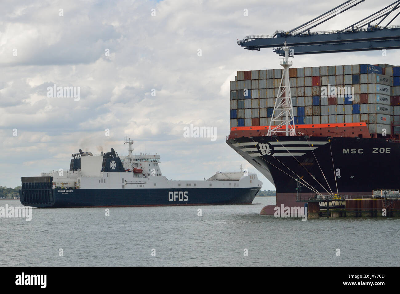 Selandia DFDS Seaways gesehen bei Ankunft am Hafen von Felixstowe Stockfoto