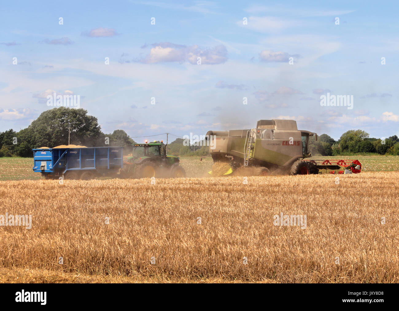 Mähdrescher schneiden Weizen in einem Feld im ländlichen England, mit Traktor und Anhänger im Hintergrund Stockfoto