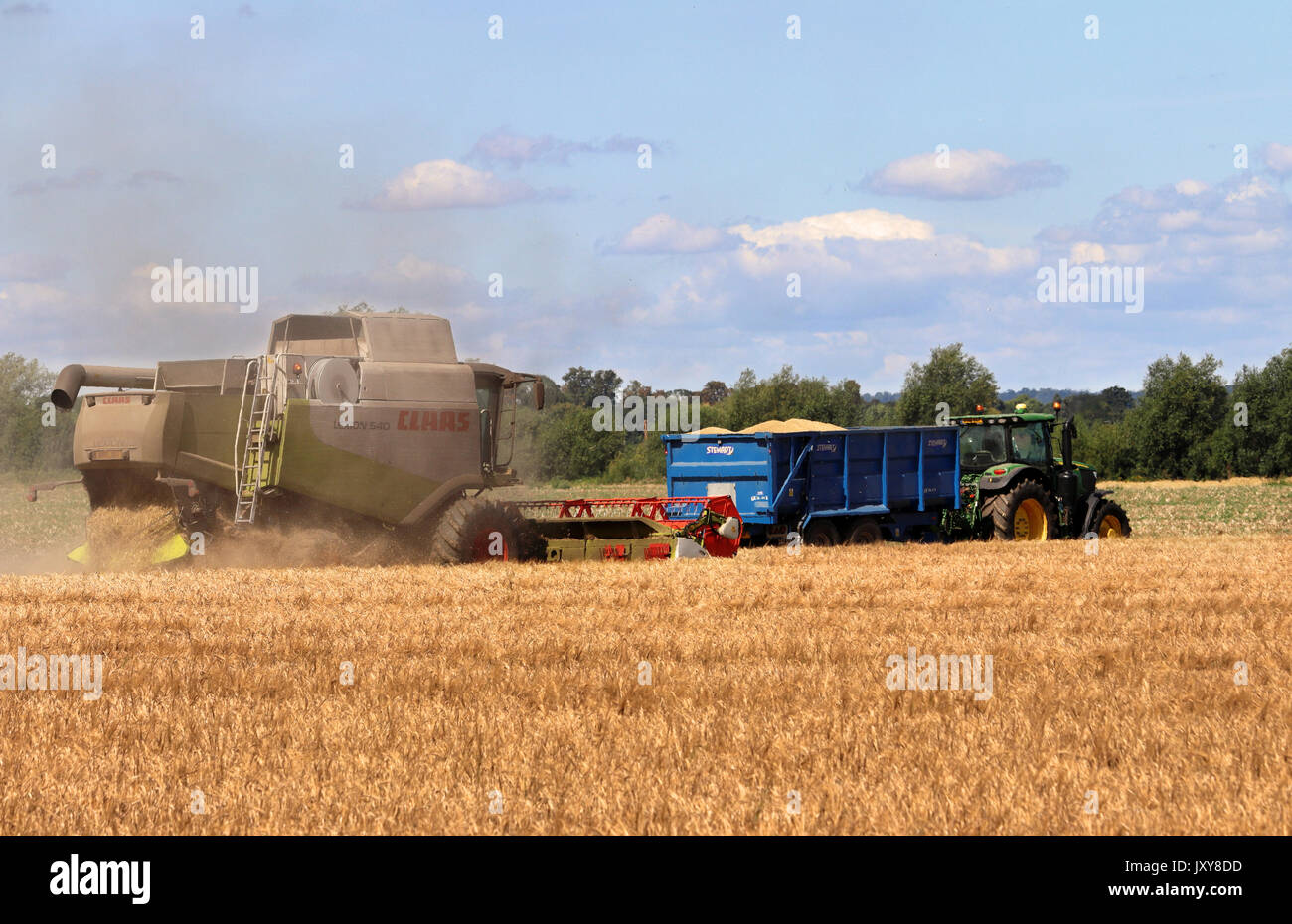 Mähdrescher schneiden Weizen in einem Feld im ländlichen England, mit Traktor und Anhänger im Hintergrund Stockfoto