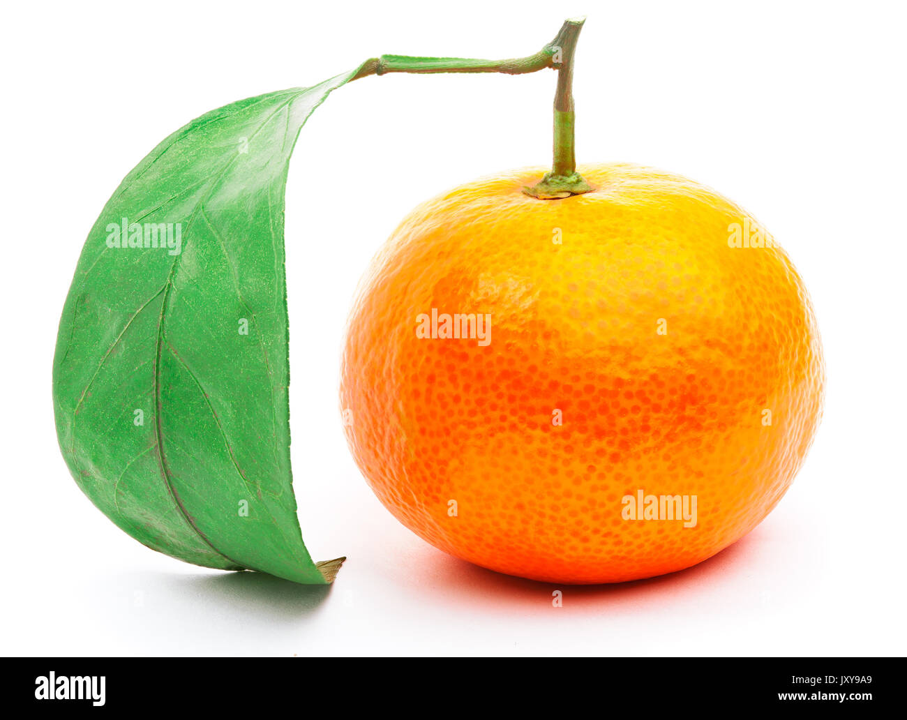 Tangerine mit Blatt isoliert Stockfoto