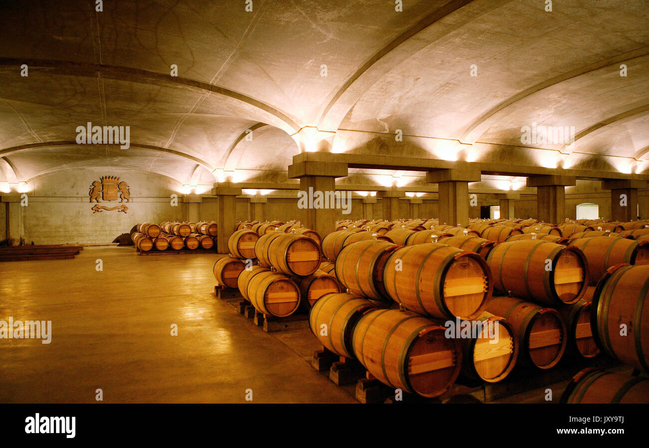 Chateau Yquem Keller in Sauternes. Reihen von Fässern in den Kellern von Chateau Yquem Stockfoto