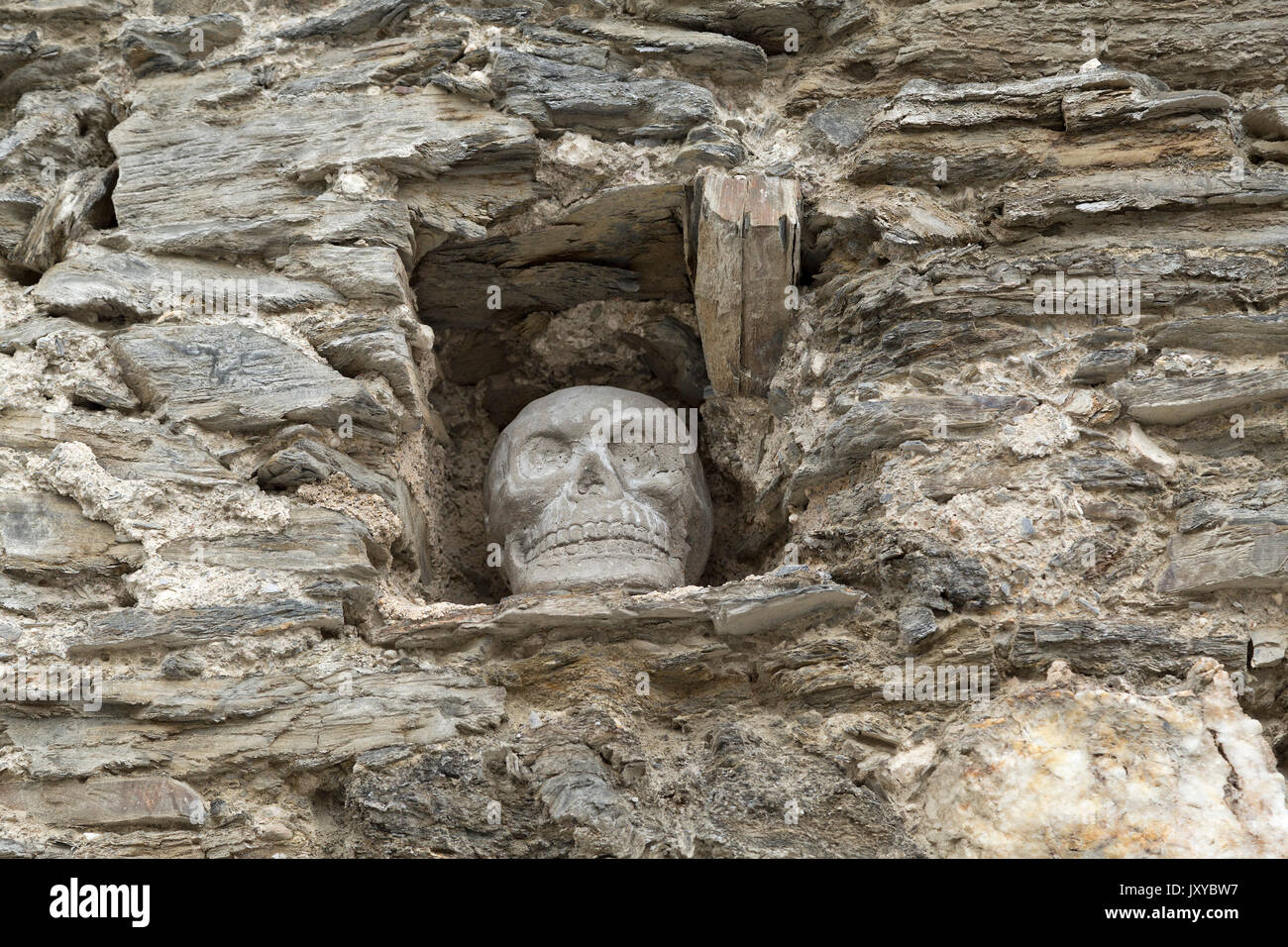 Schädel in der Mauer der Burg Landshut, Bernkastel-Kues, Mos Stockfoto