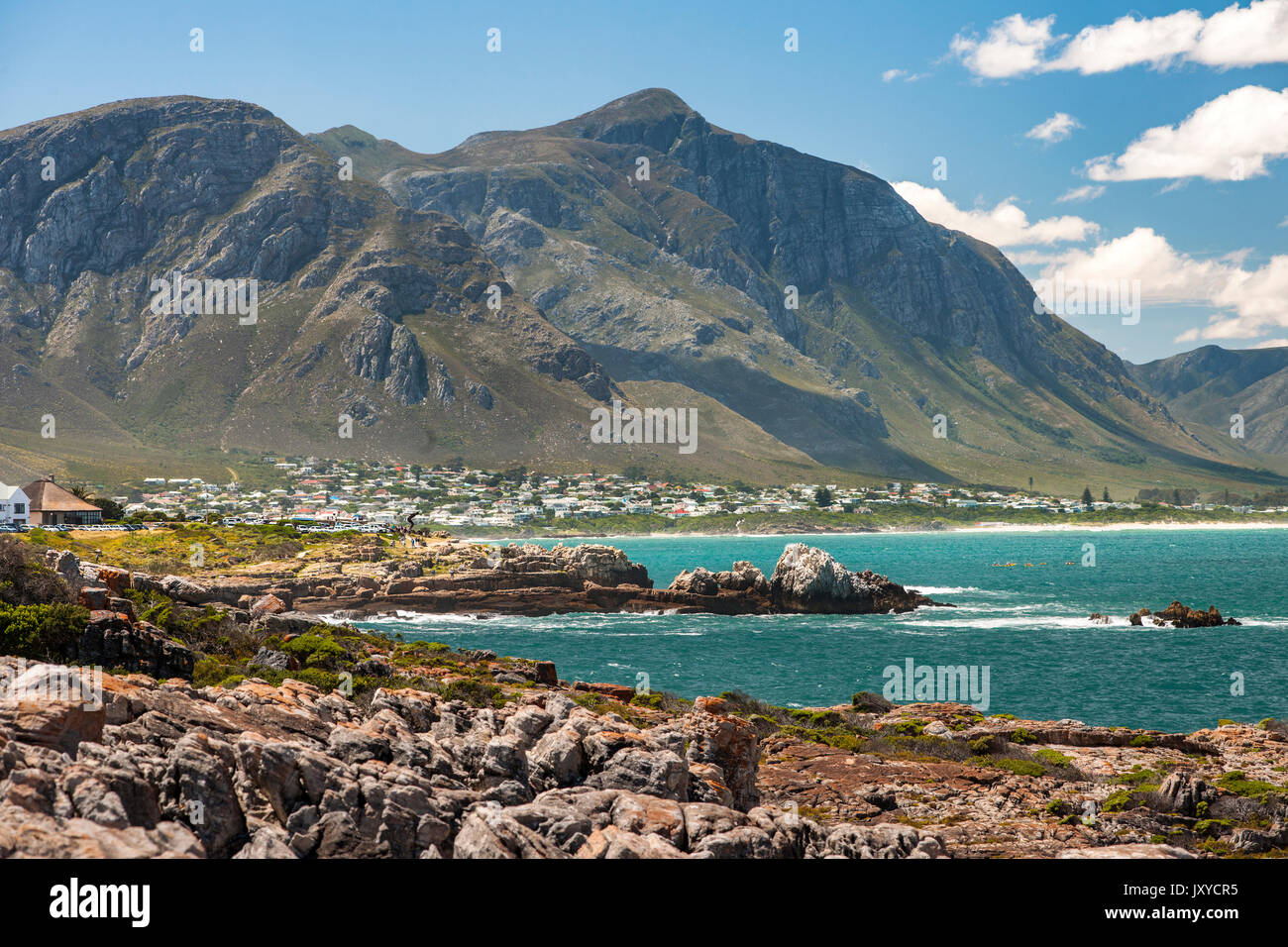 Küstenlandschaft in Hermanus, Südafrika. Stockfoto