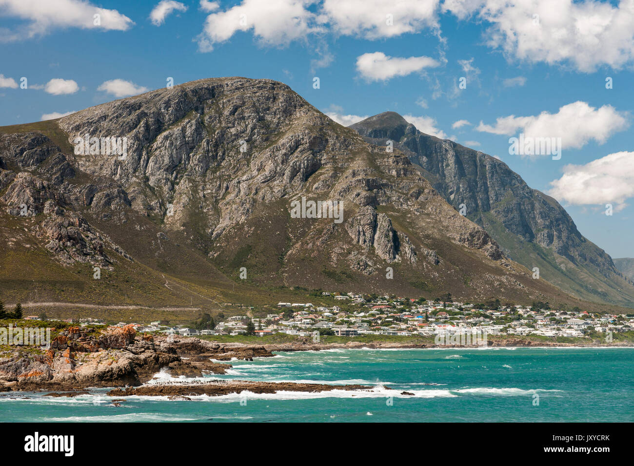 Küstenlandschaft in Hermanus, Südafrika. Stockfoto
