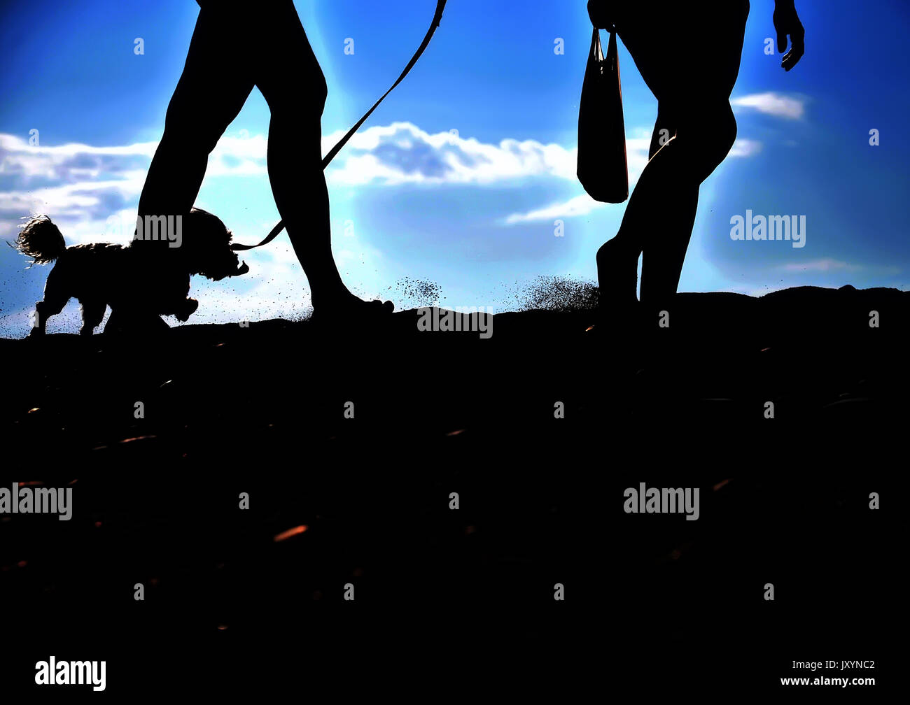 Silhouetten von Mensch und Hund, die zu Fuß Stockfoto