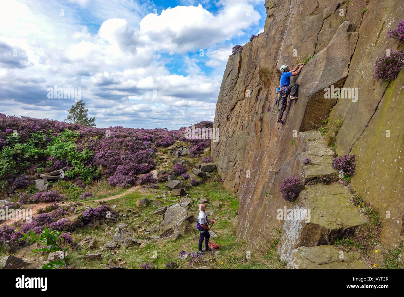 Kletterer im Mühlsteinbruch mit lila heidekraut, Peak District, Derbyshire Stockfoto