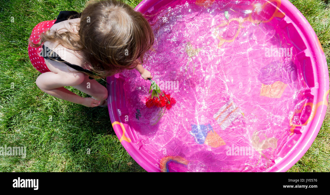 Kaukasische Toddler Braunhaarige Mädchen spielt in einem rosa Hinterhof Kiddie Pool an einem heißen Sommertag Stockfoto