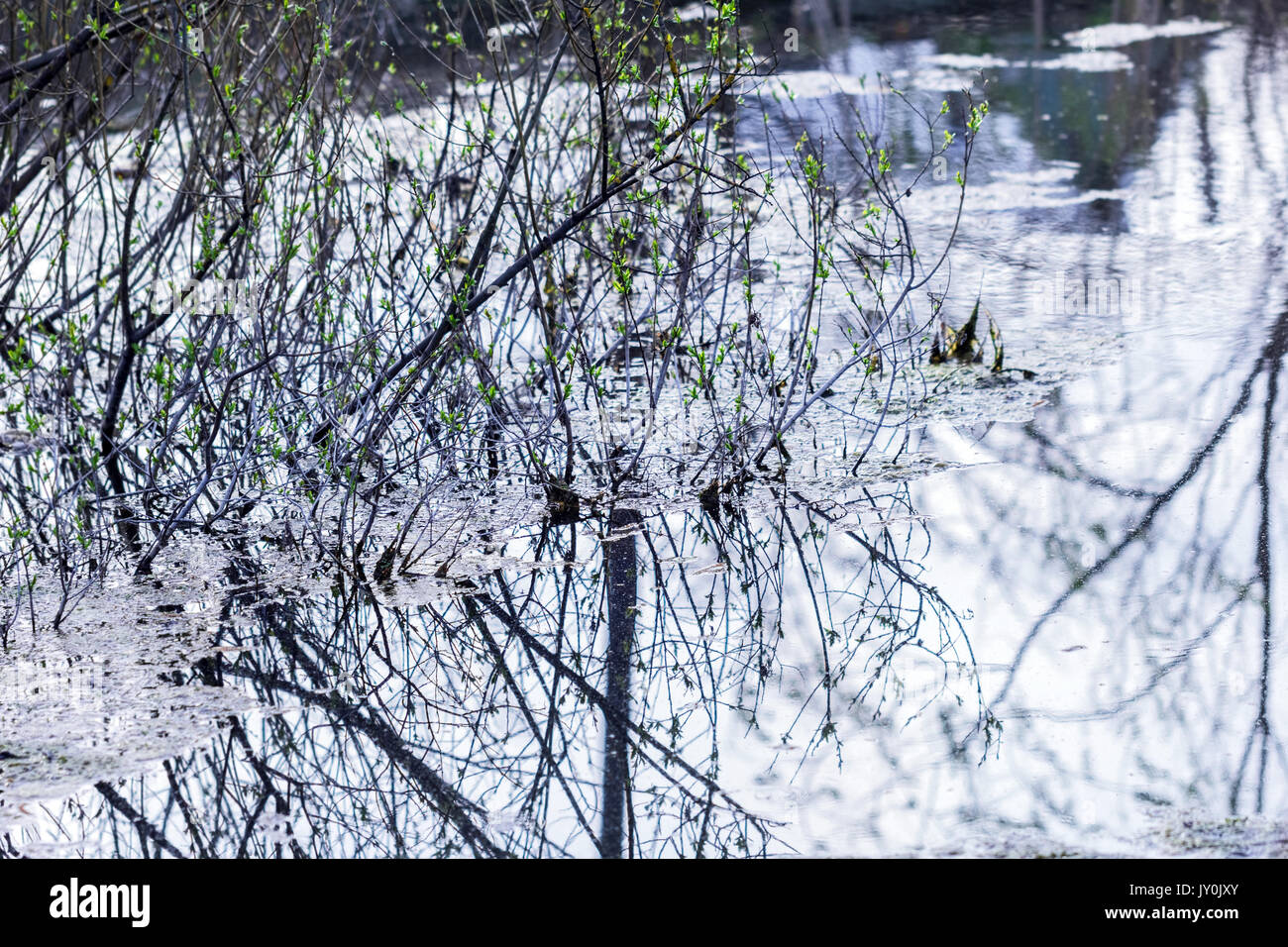 Kalter Frühling Wasser im Fluss am Tag Stockfoto