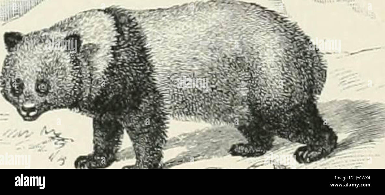 "Das Jahrhundert Wörterbuch und cyclopedia; eine Arbeit von Universal Referenz in allen Abteilungen des Wissens, der mit einer neuen Atlas der Welt.." (1897) Stockfoto