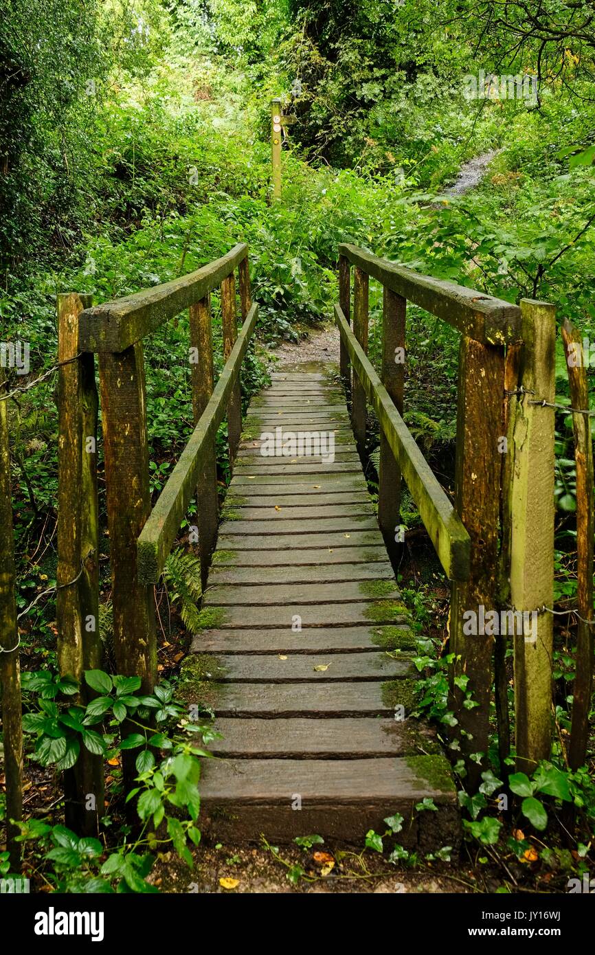Holzbrücke Stockfoto