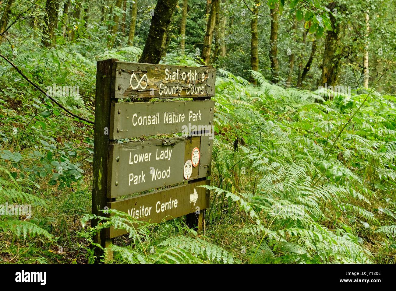 Consall natur park Stockfoto