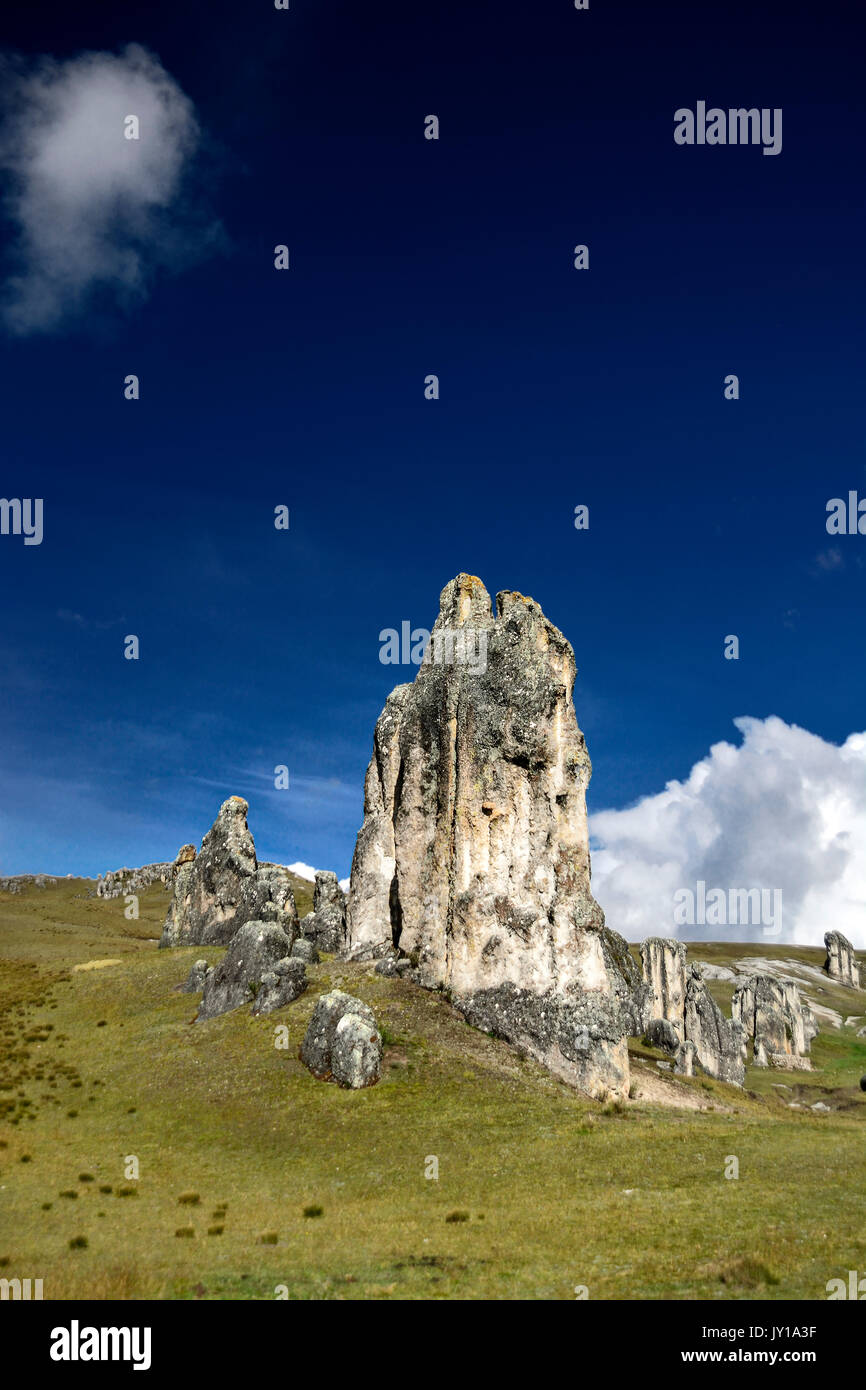 Landschaft am Bosque de Piedra - Stone Forest, in Peru Stockfoto