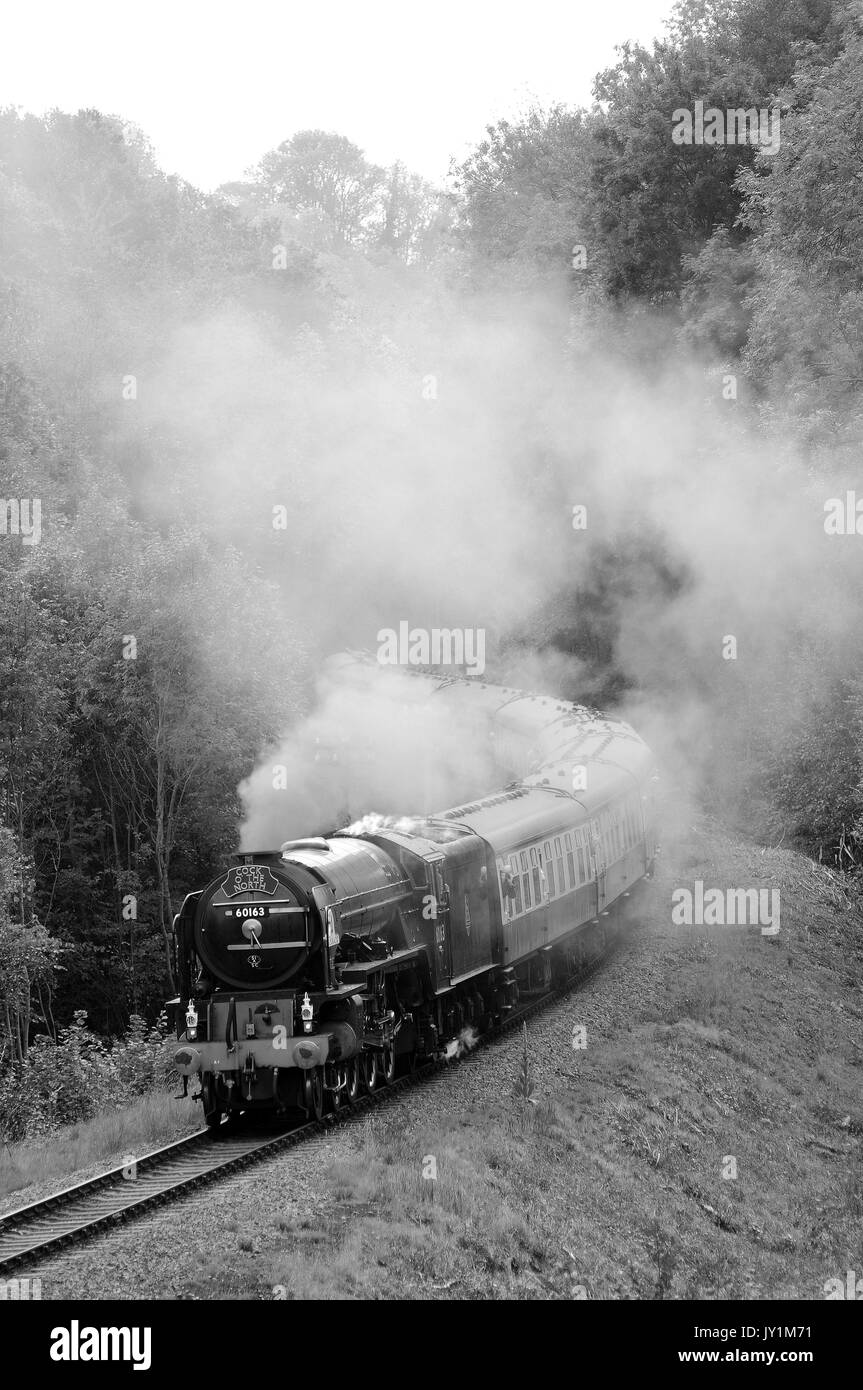 'Tornado' nähern Highley mit einem Kidderminster - Bridgnorth Service. Die Severn Valley Railway. Stockfoto